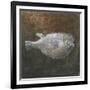 Puffer Fish, 2015-Lincoln Seligman-Framed Giclee Print