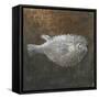 Puffer Fish, 2015-Lincoln Seligman-Framed Stretched Canvas