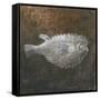 Puffer Fish, 2015-Lincoln Seligman-Framed Stretched Canvas