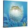 Puffer Fish-Durwood Coffey-Stretched Canvas