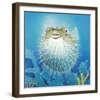 Puffer Fish-Durwood Coffey-Framed Giclee Print