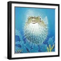 Puffer Fish-Durwood Coffey-Framed Giclee Print