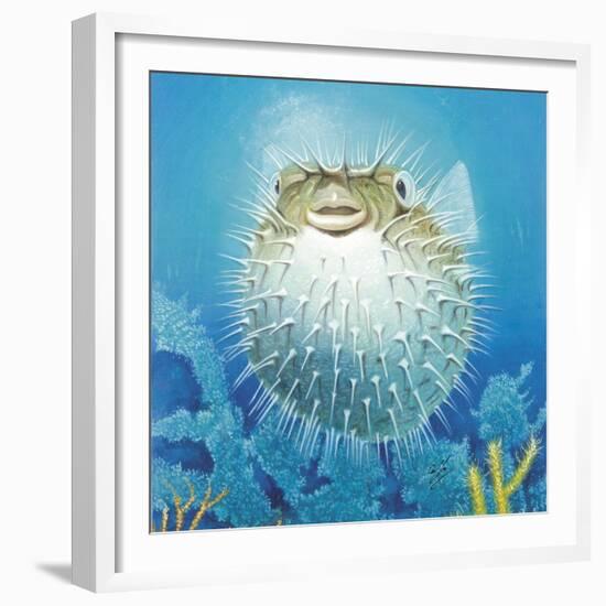 Puffer Fish-Durwood Coffey-Framed Giclee Print