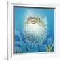 Puffer Fish-Durwood Coffey-Framed Giclee Print