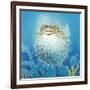 Puffer Fish-Durwood Coffey-Framed Giclee Print