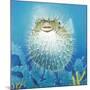 Puffer Fish-Durwood Coffey-Mounted Giclee Print