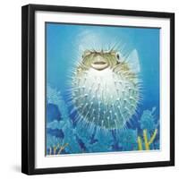 Puffer Fish-Durwood Coffey-Framed Giclee Print