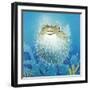 Puffer Fish-Durwood Coffey-Framed Giclee Print