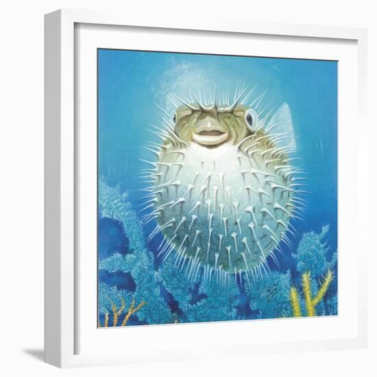 Puffer Fish-Durwood Coffey-Framed Giclee Print