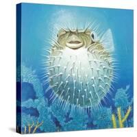 Puffer Fish-Durwood Coffey-Stretched Canvas