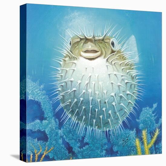 Puffer Fish-Durwood Coffey-Stretched Canvas