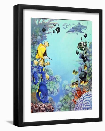 Puffer Reef-Tim Knepp-Framed Giclee Print