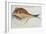 Puffer-John White-Framed Giclee Print