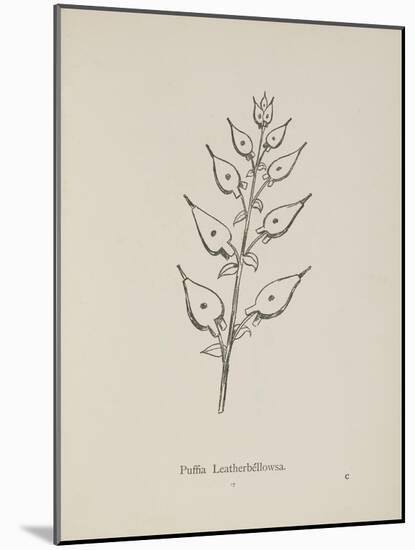 Puffia Leatherbellowsa. Illustration From Nonsense Botany by Edward Lear, Published in 1889.-Edward Lear-Mounted Giclee Print