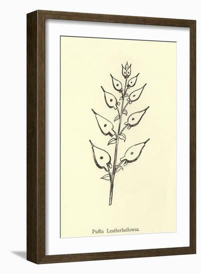 Puffia Leatherbellowsa-Edward Lear-Framed Giclee Print