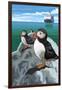 Puffin and Cruise Ship - Pacific-Lantern Press-Framed Art Print