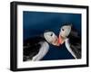 Puffin Bird III-null-Framed Art Print