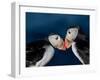 Puffin Bird III-null-Framed Art Print