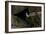 Puffin Cave-Howard Ruby-Framed Photographic Print