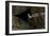 Puffin Cave-Howard Ruby-Framed Photographic Print