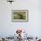 Puffin Collecting Nesting Material, Wales, United Kingdom, Europe-Andrew Daview-Framed Photographic Print displayed on a wall