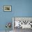 Puffin Collecting Nesting Material, Wales, United Kingdom, Europe-Andrew Daview-Framed Photographic Print displayed on a wall