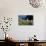 Puffin (Fratercula Arctica) by Entrance to Burrow Amongst Sea Thrift (Armeria Sp.) Shetlands, UK-Alex Mustard-Photographic Print displayed on a wall