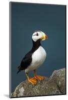 Puffin, Katmai National Park, Alaska-Paul Souders-Mounted Photographic Print