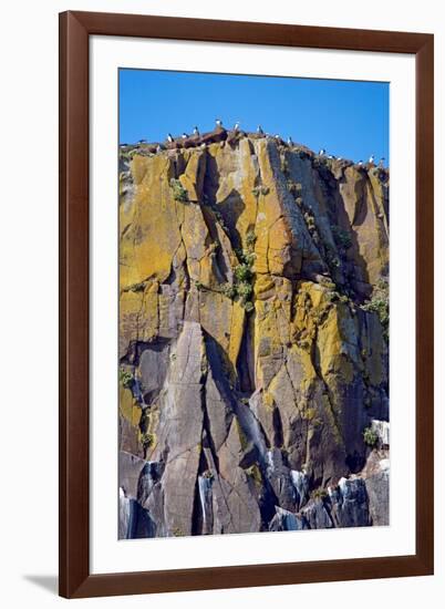 Puffin Mountain-Howard Ruby-Framed Photographic Print