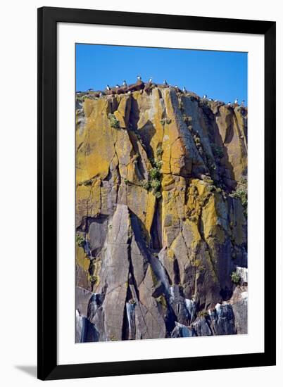 Puffin Mountain-Howard Ruby-Framed Photographic Print