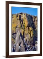 Puffin Mountain-Howard Ruby-Framed Photographic Print