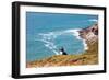 Puffin on Skomer Island, Pembrokeshire, Wales, United Kingdom, Europe-Derek Phillips-Framed Photographic Print