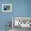 Puffin Pair (Fratercula Artica) Billing, Shetland Islands, Scotland, UK, Europe-David Tipling-Framed Photographic Print displayed on a wall