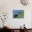 Puffin Pair (Fratercula Artica) Billing, Shetland Islands, Scotland, UK, Europe-David Tipling-Photographic Print displayed on a wall