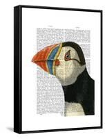 Puffin Portrait-Fab Funky-Framed Stretched Canvas