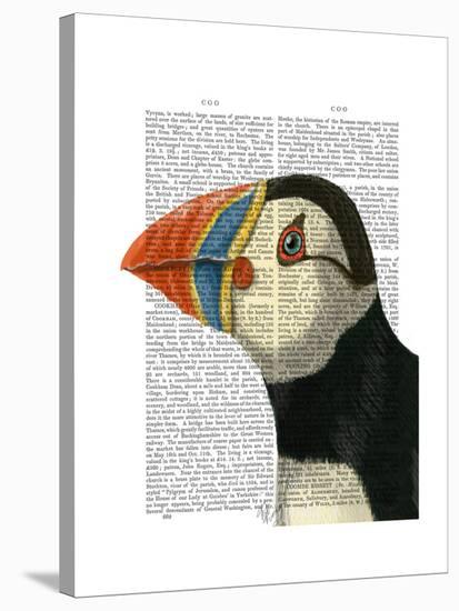 Puffin Portrait-Fab Funky-Stretched Canvas