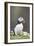 Puffin Portrait-null-Framed Photographic Print