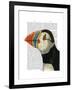 Puffin Portrait-Fab Funky-Framed Art Print