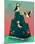 Puffin Rock-Michael Buxton-Mounted Premium Giclee Print