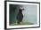 Puffin, Wales, United Kingdom, Europe-Andrew Daview-Framed Photographic Print