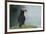 Puffin, Wales, United Kingdom, Europe-Andrew Daview-Framed Photographic Print