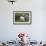 Puffin, Wales, United Kingdom, Europe-Andrew Daview-Framed Photographic Print displayed on a wall