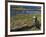 Puffin with Beak Full of Sand Eels, Isle of Lunga, Treshnish Isles, Inner Hebrides, Scotland, UK-Andy Sands-Framed Photographic Print