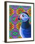 Puffin-Jane Tattersfield-Framed Giclee Print