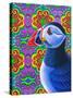 Puffin-Jane Tattersfield-Stretched Canvas