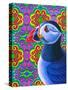 Puffin-Jane Tattersfield-Stretched Canvas