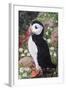 Puffin-Kirstie Adamson-Framed Giclee Print