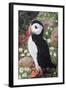 Puffin-Kirstie Adamson-Framed Giclee Print