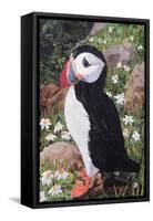 Puffin-Kirstie Adamson-Framed Stretched Canvas