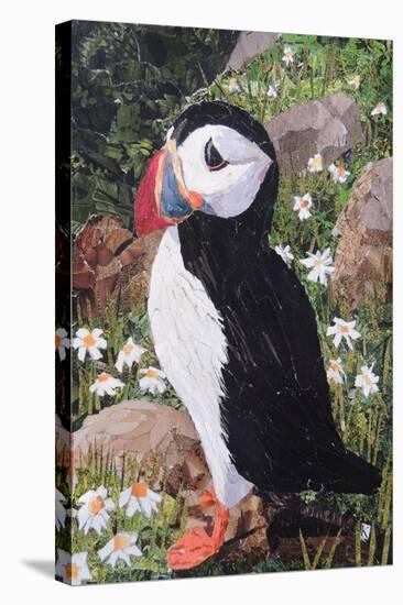 Puffin-Kirstie Adamson-Stretched Canvas